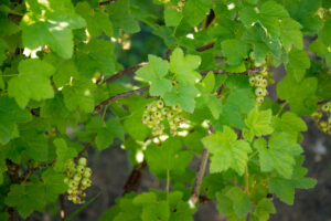 20250427-IMG_2046