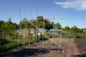 20250427-IMG_2068