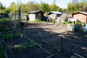20250427-IMG_2070