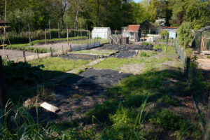 20250427-IMG_2082