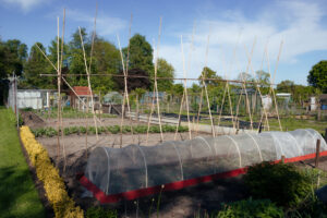 20250427-IMG_2083