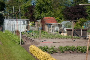 20250427-IMG_2085