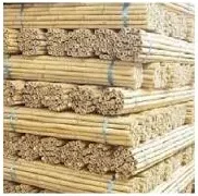 Bamboestokken 270cm 18/20mm